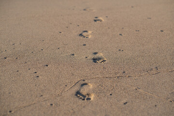footprint on the sand