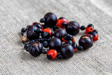 Beads made of various types of seeds and nuts on canvas fabric