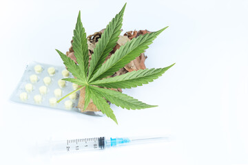 Legality of cannabis, legal and illegal cannabis on the world. law concept. white background.