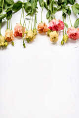 Bunte Frühlingsblumen als Rahmen um weißen  Hintergrund, Flatlay oder Mockup Untergrund, Blumenrahmen, Weißraum, Aufsicht, Topview, Femininer Bildstil 