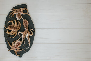 fresh octopuses with a place for the text
