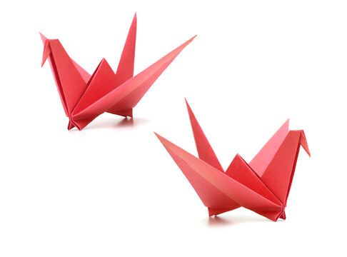 A Red Origami Bird On White