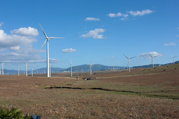 Wind power mills. Tarifa. Cadiz