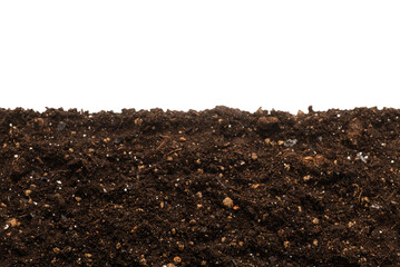 Black land for plant.