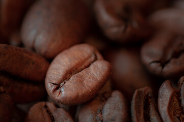 Close-up of a coffee bean with more beans in the background