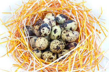 Obraz premium Quail eggs