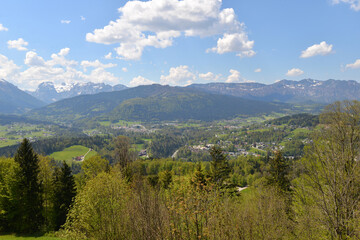 Obraz premium landscape in the summer