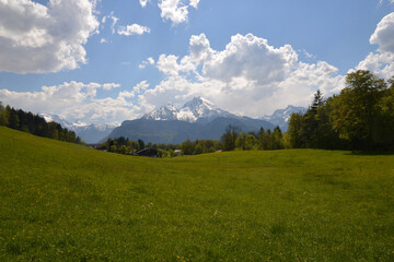 meadow and mountains