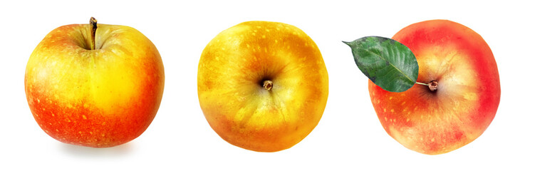 Color apples on white background