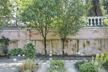 Padova botanic garden