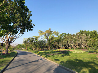 Panorama from a path through King Rama IX Park in Bangkok