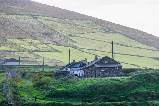 Beautiful landscape view of Irelands hillside farmlands.  Typical stone farmhouse sits by the roadside overlooking the farmland hills. 
