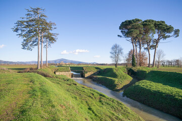 landscape with trees and a canal in Tuscany, Italy