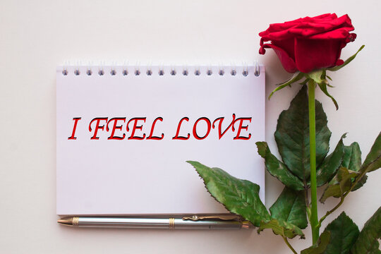 congratulations I FEEL LOVE on a postcard. valentine's day, holidays