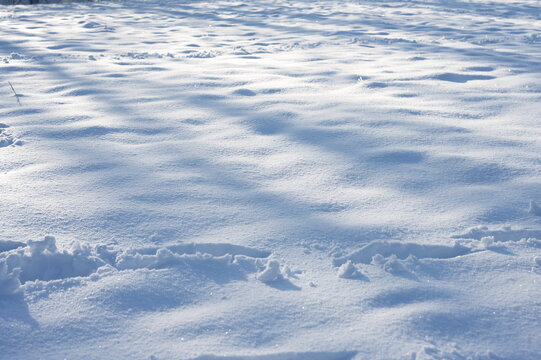 Closeup shot of a snowy landscape