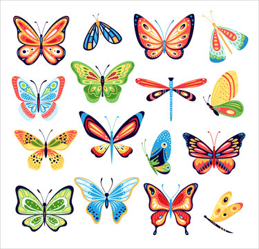 Butterfly set. Vector collection of colorful butterflies isolated on background. Hand drawn spring insects, moth with colorful wings. Drawing vintage flying papillon butterfly. Summer garden insects