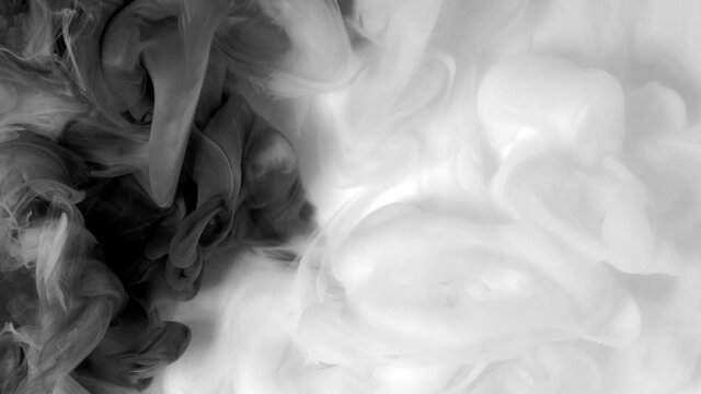 black white paint mixed on white background clouds of paint
