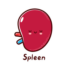 Cute happy funny human spleen organ character. Vector flat line cartoon kawaii character illustration icon. Isolated on white background. Spleen with face character mascot concept
