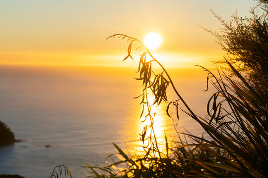 Views From Mount Maunganui