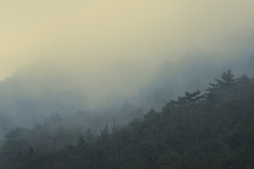 Landscape with fog at sunrise yellow and blue colors, horizon vanishing in mist