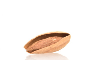 One organic unpeeled almond nut, close-up, isolated on white.