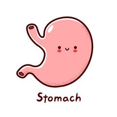 Cute happy funny human stomach organ character. Vector flat line cartoon kawaii character illustration icon. Isolated on white background. Stomach with face character mascot concept