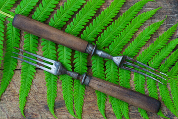 Old vintage forks on a fern leaf - 410474536