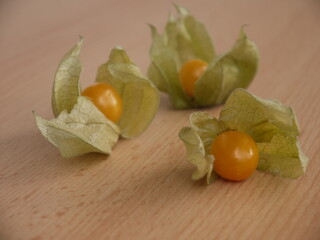 Physalis