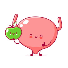Cute happy funny human bladder organ with apple character. Vector flat line cartoon kawaii character illustration icon. Isolated on white background. Bladder with face character mascot concept