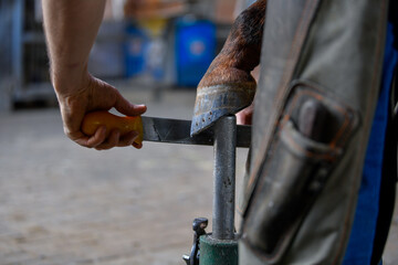 A farrier adjusting a horseshoe 