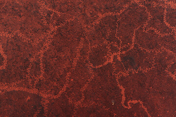 Rugged and weathered red metal texture car paint with interesting unique dust patterns suburban Sofia, Bulgaria, Eastern Europe