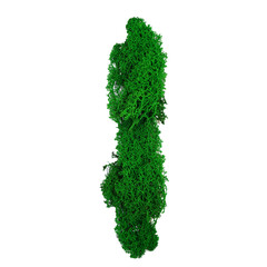 Letter I of the English alphabet made from green stabilized moss, isolated on white background