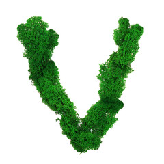 Letter V of the English alphabet made from green stabilized moss, isolated on white background