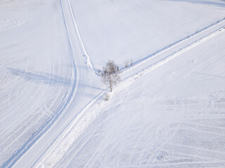 Top down view where you can see a white snow-covered field where a white snowy road branches off and there is a tree in the middle