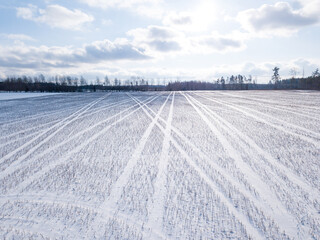 Fototapeta na wymiar White snowy field on a sunny day with blue sky and white clouds in them
