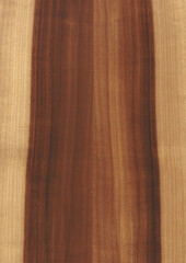 Kern Cherry Kernkirschbaum