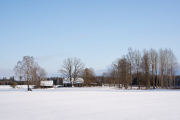 Fototapeta na wymiar white snowy field behind which is an old country house with trees of different sizes