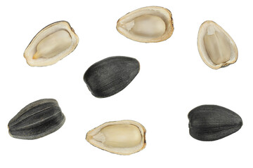 Seeds isolated on white background