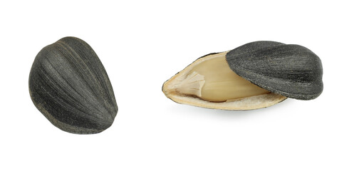 Seeds isolated on white background