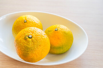 スイートスプリング
