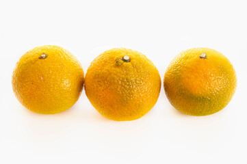 並んだスイートスプリング