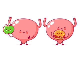 Cute human bladder organ character with apple and burger. Vector flat line cartoon kawaii character illustration icon. Isolated on white background. Bladder with face character mascot concept