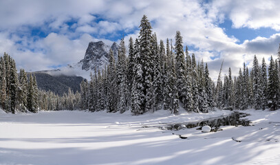 Winter panorama in the Yoho National Park, with Mount Burgess in the background, British Columbia, Canada