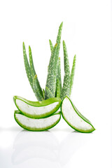 Isolated fresh aloe vera on white background	