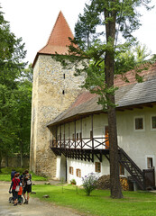 Zvikov castle is a well-preserved Gothic castle standing on a rock above the confluence of the...
