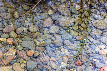 Reflection in the water, branches of trees without leaves on the background of water in the river, on an autumn cloudy day.