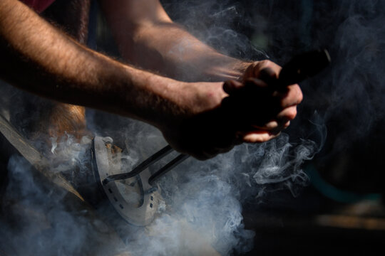 Farrier hot shoeing a horse - adjusting a hot horseshoe to the hoof