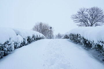 On the way to a completely snow-covered park.
