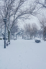 Obraz premium Completely snow-covered park.