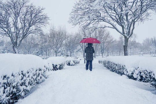 Person walking through the snow. Person with black clothes and red umbrella